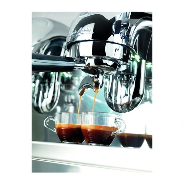Victoria Arduino Adonis Style Core Espresso Kahve Makinesi, 2 Gruplu