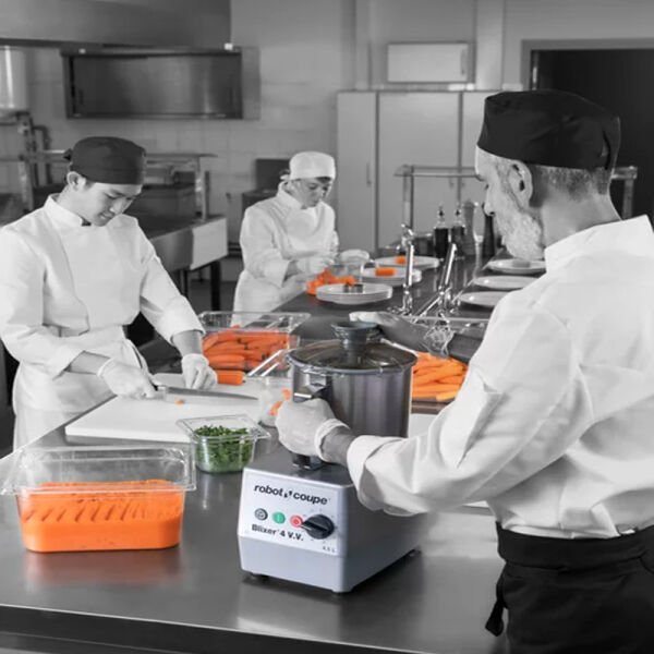 Robot Coupe Blixer 4 V.V.